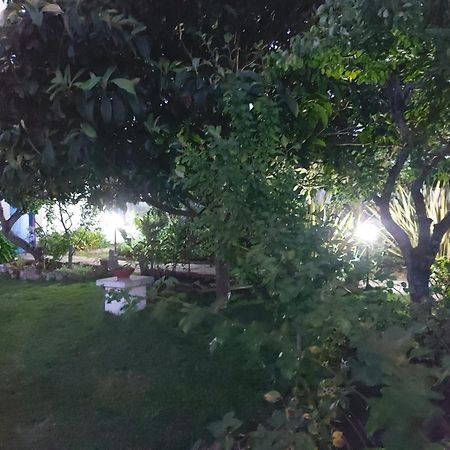 Vila Casa Do Sobral Óbidos المظهر الخارجي الصورة