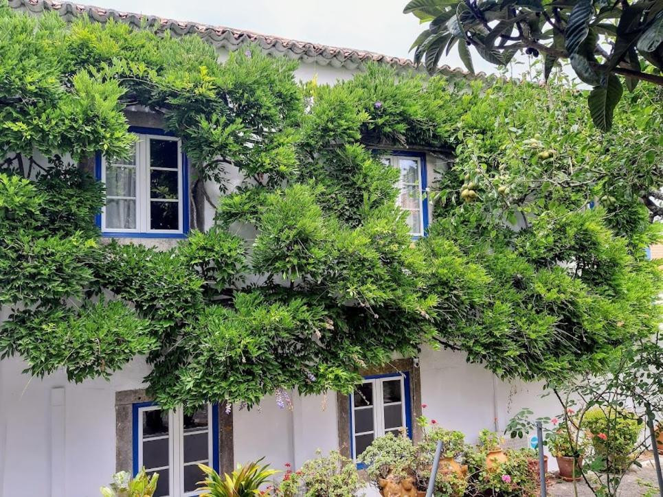 Vila Casa Do Sobral Óbidos المظهر الخارجي الصورة