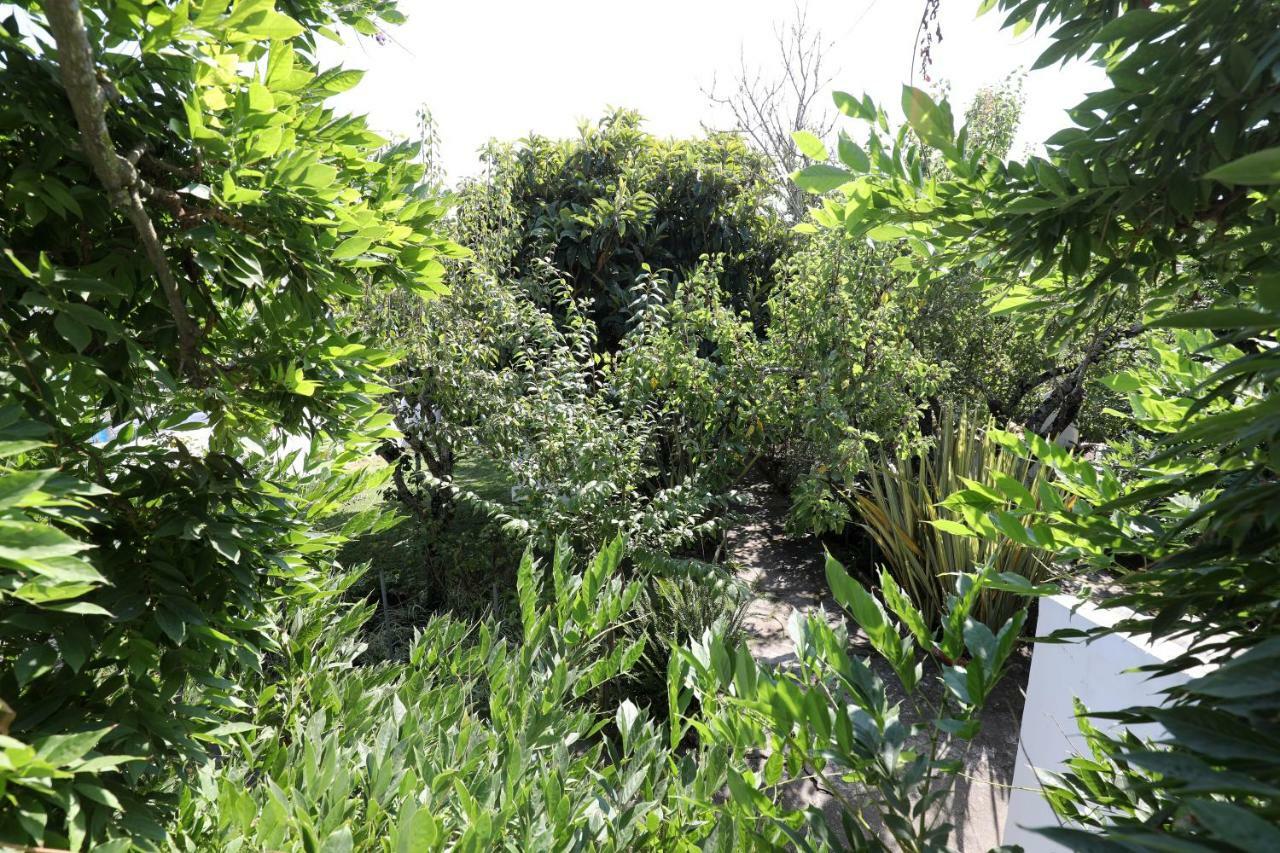 Vila Casa Do Sobral Óbidos المظهر الخارجي الصورة